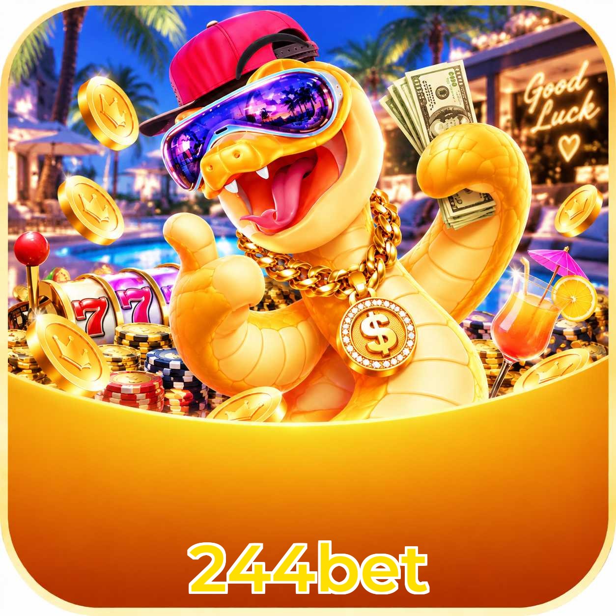 244bet Live Casino Overview