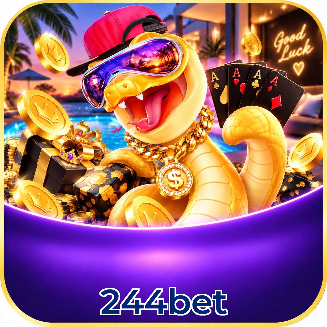 244bet Performance